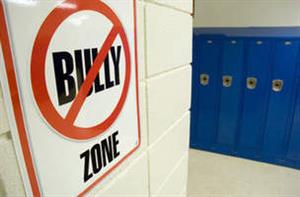 No Bully Zone School 